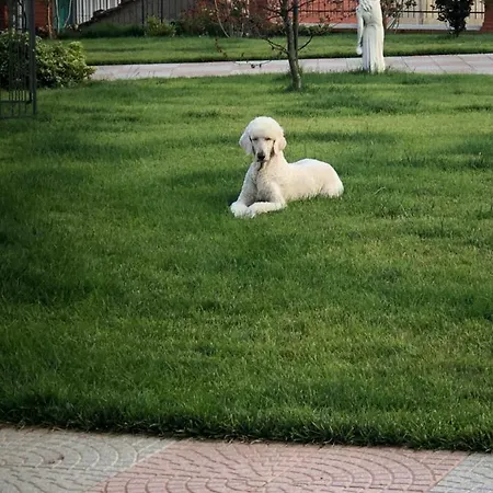 B&B Costa Otto.zero *